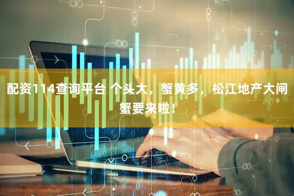 配资114查询平台 个头大，蟹黄多，松江地产大闸蟹要来啦！